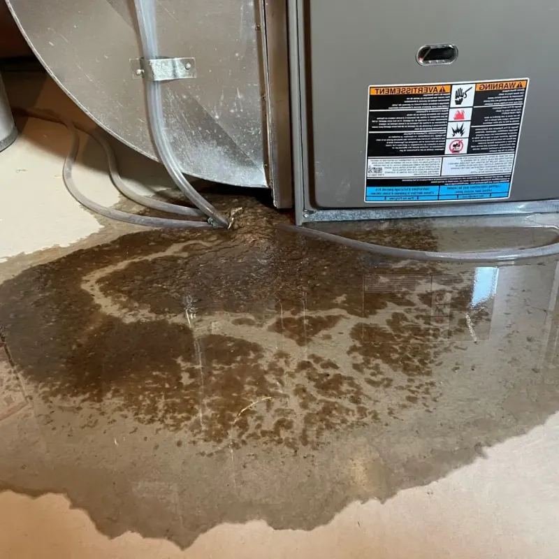 Pipe Burst and Leak Restoration in Tama County, IA