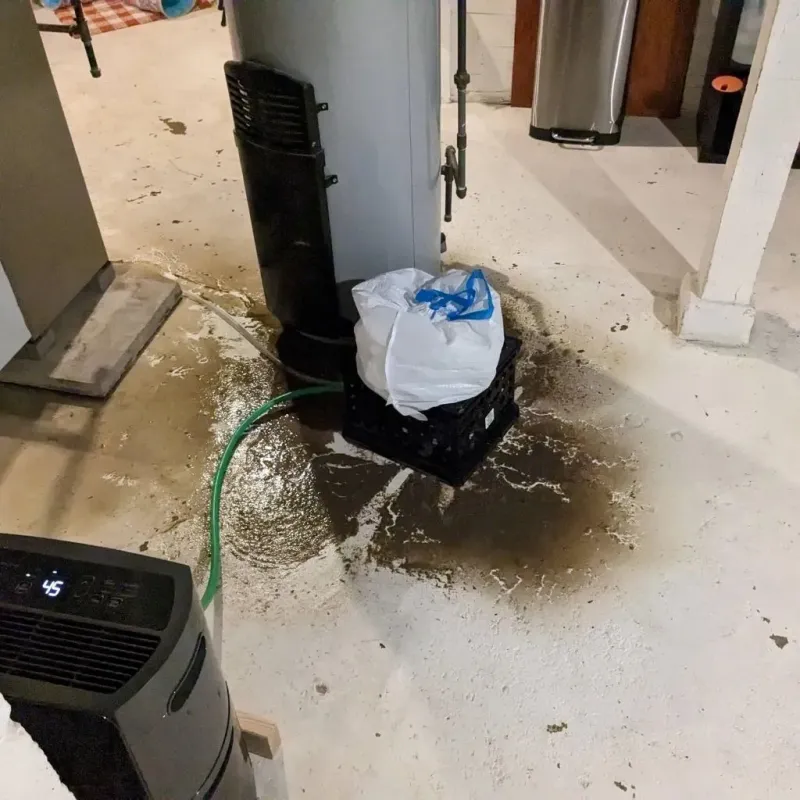 Sewage Backup Cleanup Service in Tama County, IA